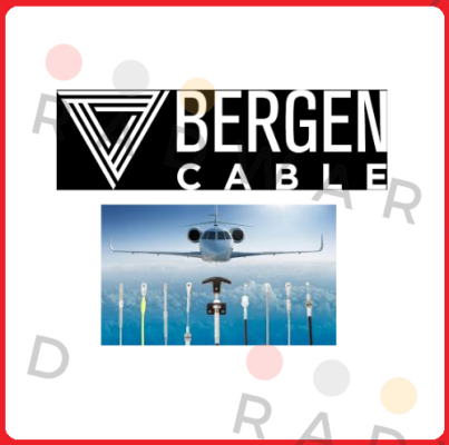 Bergen Cable Technology Llc