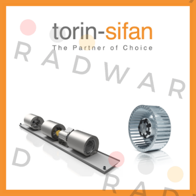 Torin-Sifan