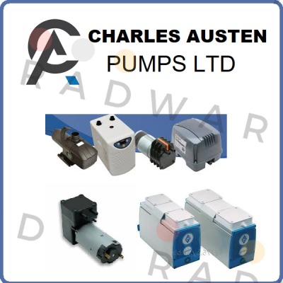 Charles Austen Pumps