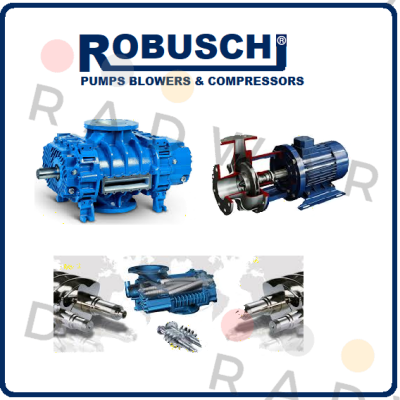 11516 Robuschi