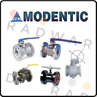 4V310-08BAC220VW Modentic