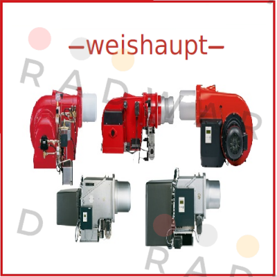 612981 Weishaupt