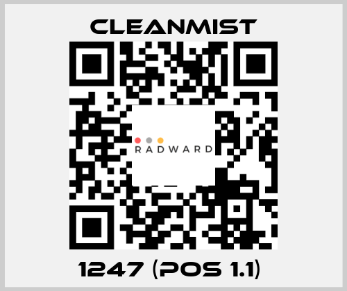 1247 (pos 1.1)  CleanMist