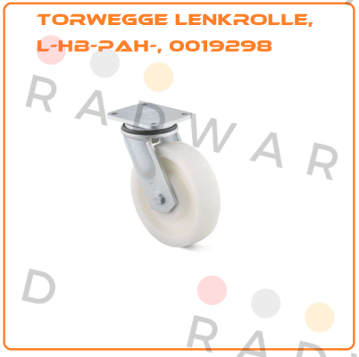 0019298 Torwegge