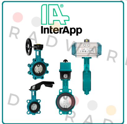 DESPONIA D1 DN0300 PN10 D10300.22-2AR.4A.5C0.E  InterApp