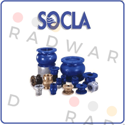 DN100 valve  Socla