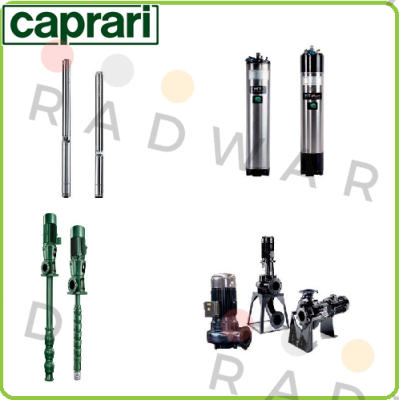 P/N: 811321, Type: CVX051/20+E0300T212-V CAPRARI 