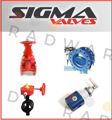 Repair Kit for 20HM104 Sigma Valves