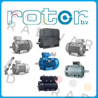 6RN100L04E35U46B 2081 Rotor