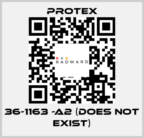 36-1163 -A2 (DOES NOT EXIST) Protex