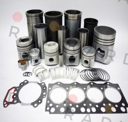 REPAIR KIT FOR GEAR QVRB2L  Hansen