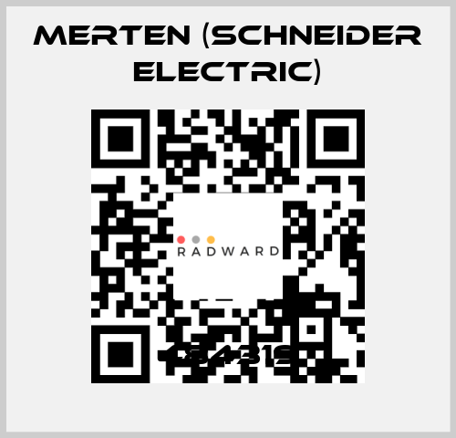 484319 Merten (Schneider Electric)