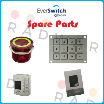 CSBR11ABW8241N Everswitch