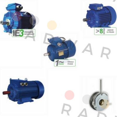 DS-Motor 2SIEK 63-4B Cantoni