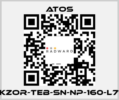 DLKZOR-TEB-SN-NP-160-L71/Q Atos