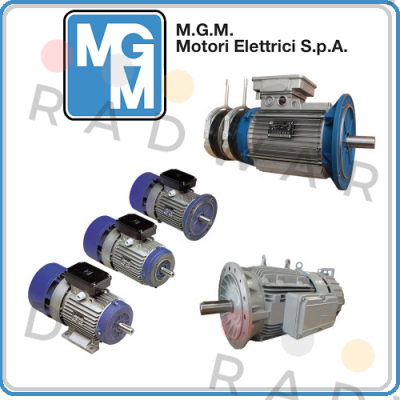 BA-100 230/400V M.G.M MOTORI