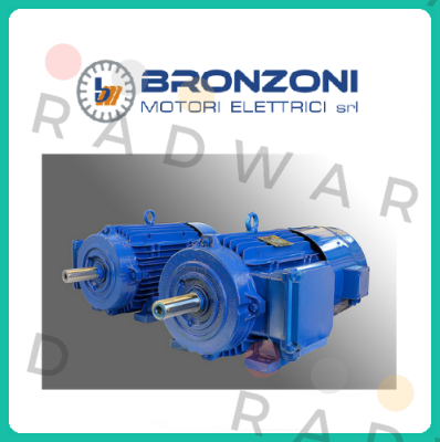 NO: 142208 Bronzoni