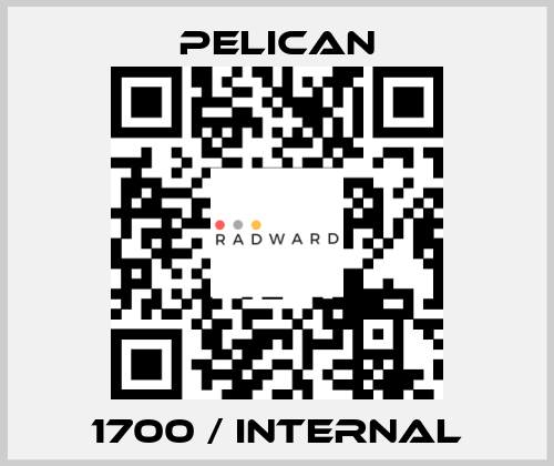 1700 / Internal Pelican