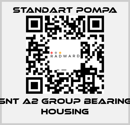 SNT A2 GROUP BEARING HOUSING STANDART POMPA