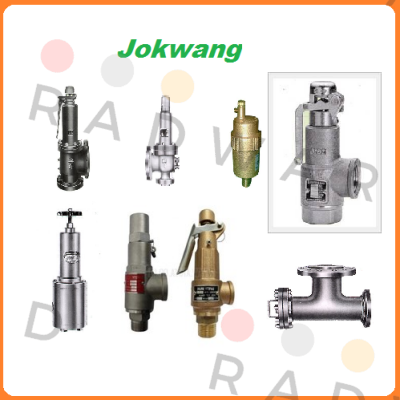 bearing cover for valve  JSV-FF100 Jokwang