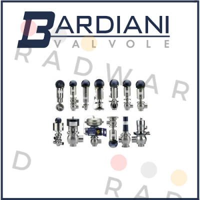 repair kit for BBZP DN 50 Bardiani Valvole