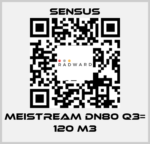 Meistream DN80 Q3= 120 m3 Sensus