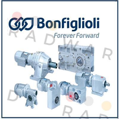 kit (ball bearings and closing caps) for VF49 12.300.506 Bonfiglioli