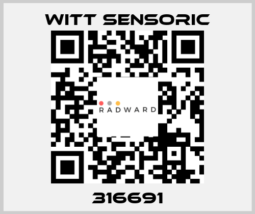 316691 Witt Sensoric