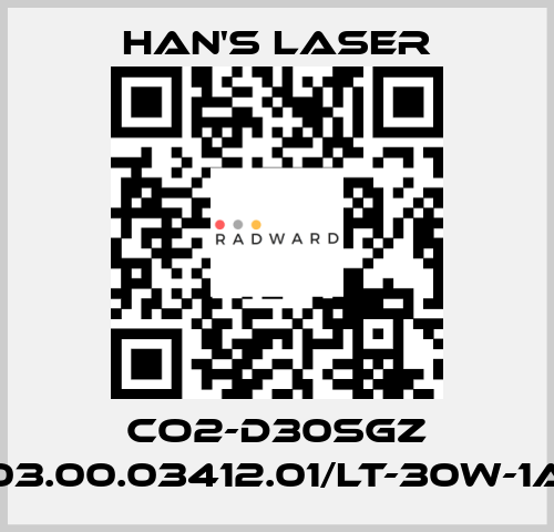 CO2-D30SGZ 03.00.03412.01/LT-30W-1A Han's Laser