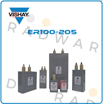 ER100-205 Vishay