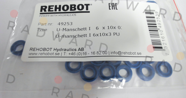 49253 Rehobot