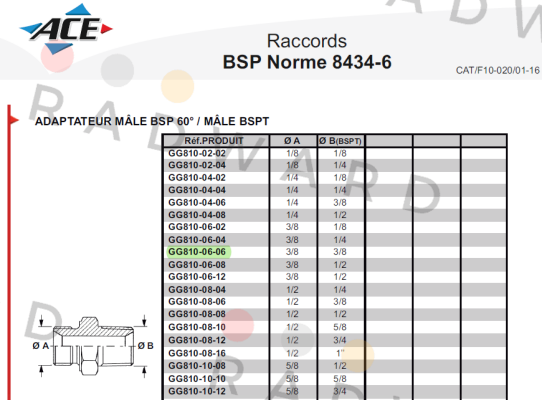 GG810-06-06 Aeroquip