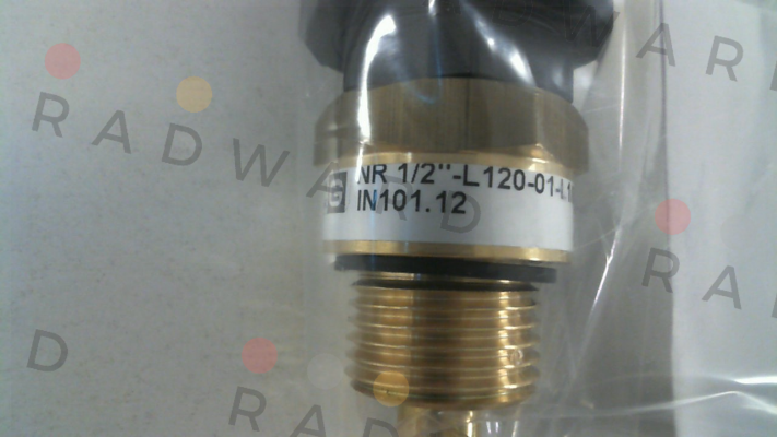 IN101.12   NR 1/2" - L120-01 Goldammer