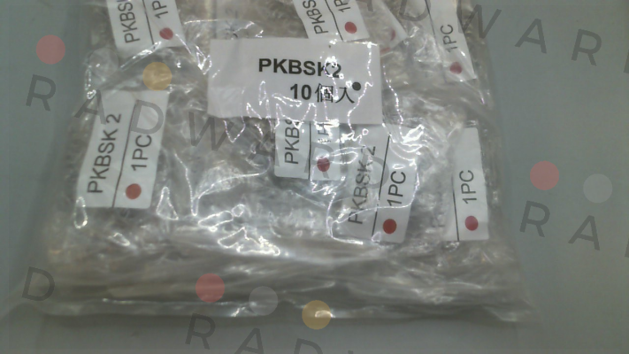 PKBSK2 Misumi