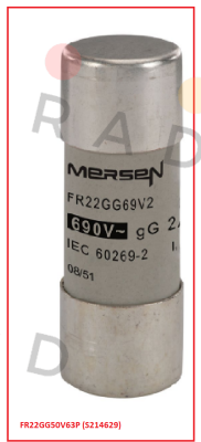 FR22GG50V63P (S214629) Mersen