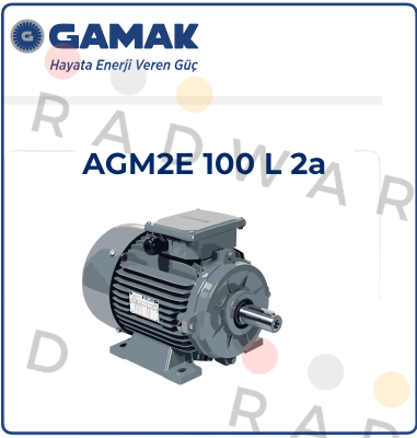 2007 177409 AGM 100 L 2 Gamak